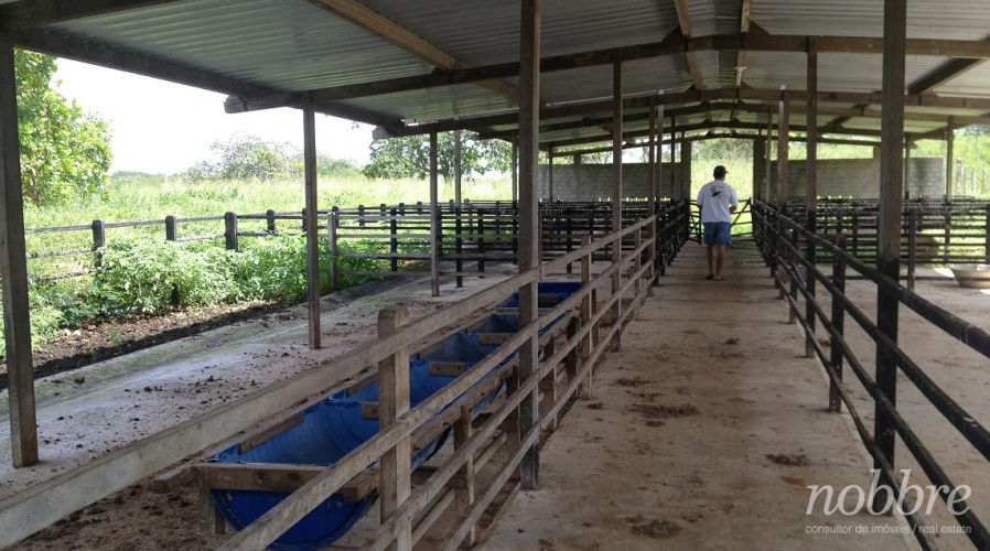 Fazenda para venda no Ceará - Maranguape.